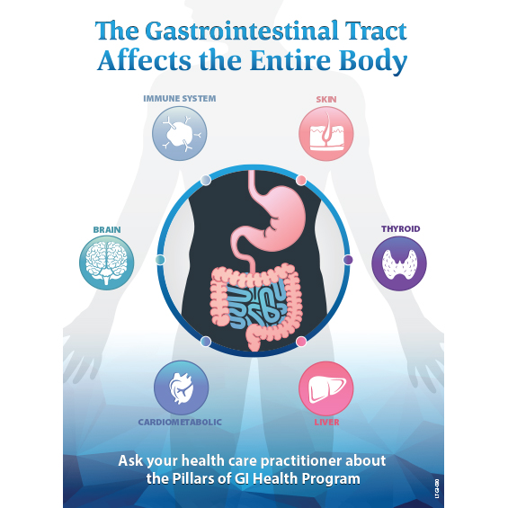 The Gastrointestinal Tract Affects the Entire Body